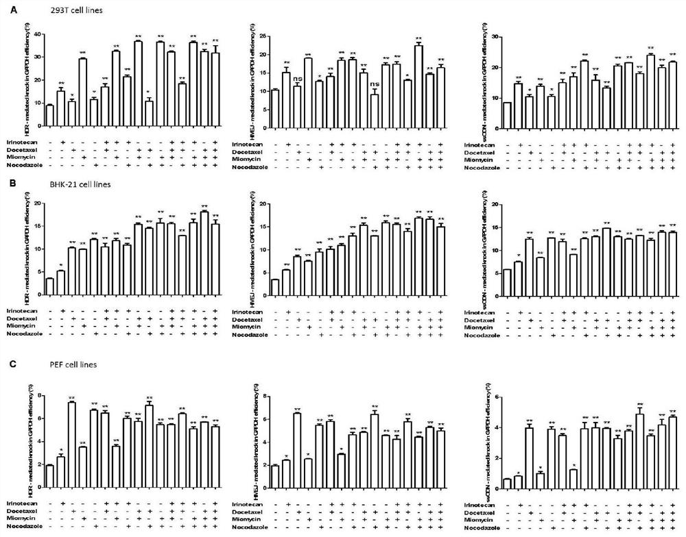 A method for improving the efficiency of genome-directed modification using small molecule compounds