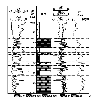 Multivariate well logging computing method for total organic carbon and hydrocarbon generating potential of hydrocarbon source rocks in salt-lake facies