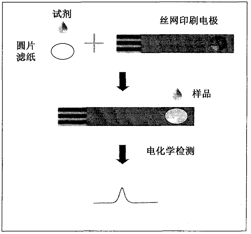 Application of filter paper adsorbent to direct electrochemical detection of lead in water sample