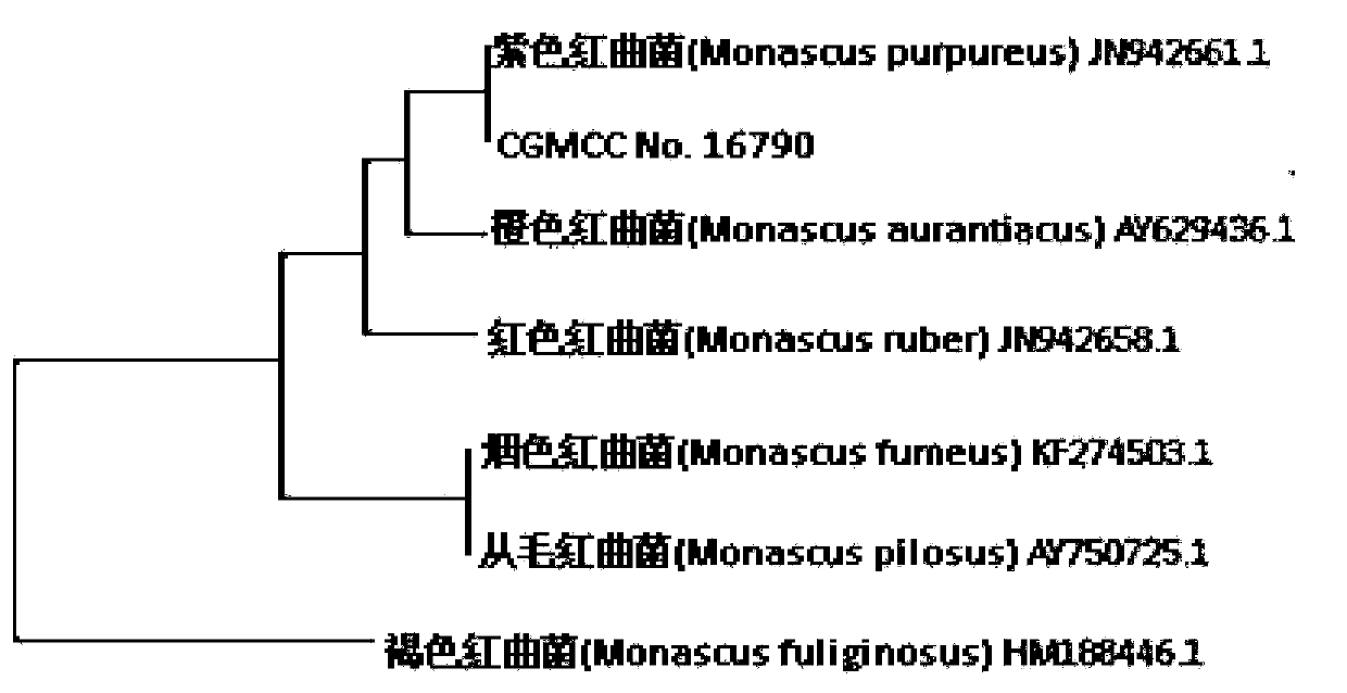 Fermentation method for improving shrimp sauce quality