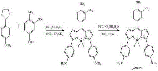 A large stokes-shifted fluorescent probe for NO detection and its synthesis method