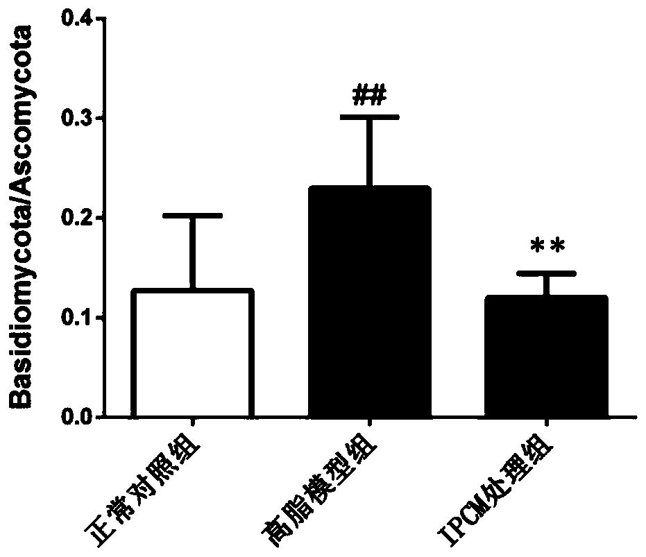 Cordyceps militaris intracellular polysaccharide and preparation method thereof, and applications in regulation of intestinal flora