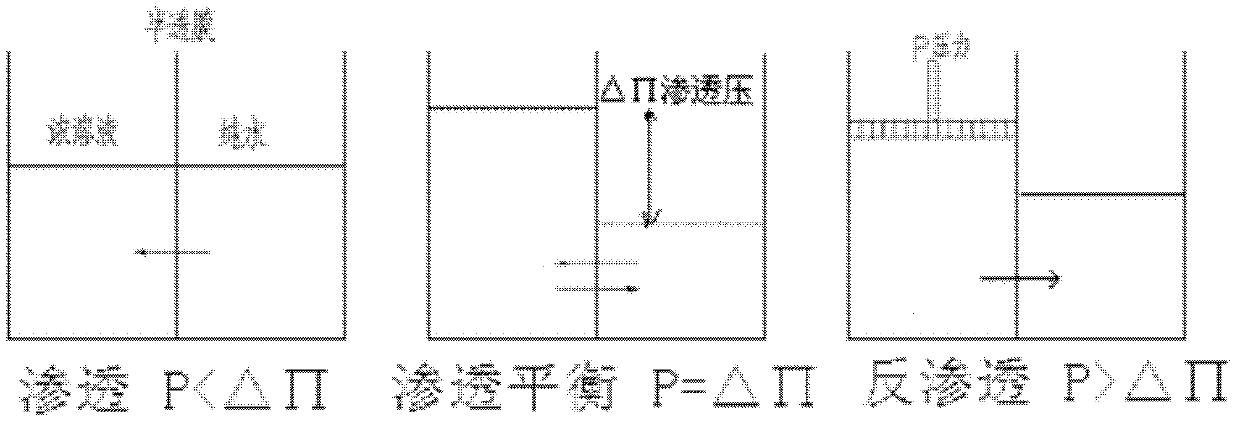 Coking wastewater reuse treatment system and method thereof