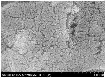 Preparation method of seawater electrolytic reaction anode IrO2-RuO2-SnO2-TiO2 nanoparticle coating