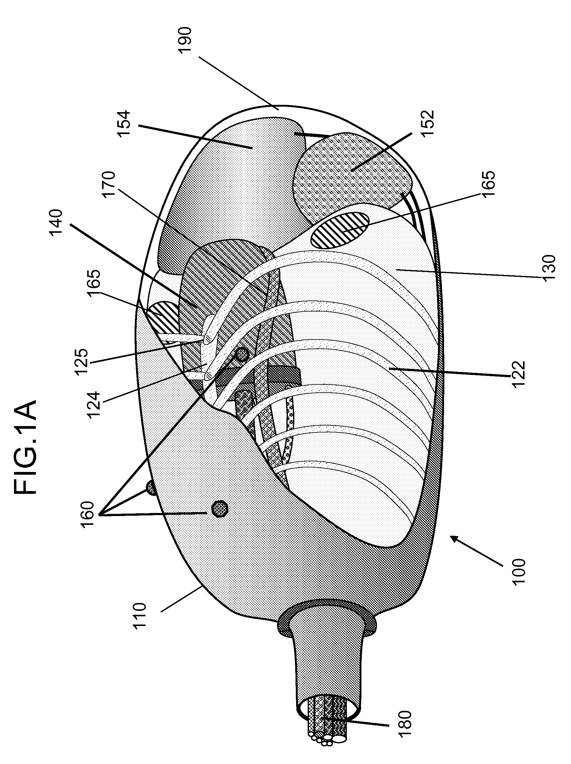 Human torso phantom for imaging of heart with realistic modes of cardiac and respiratory motion