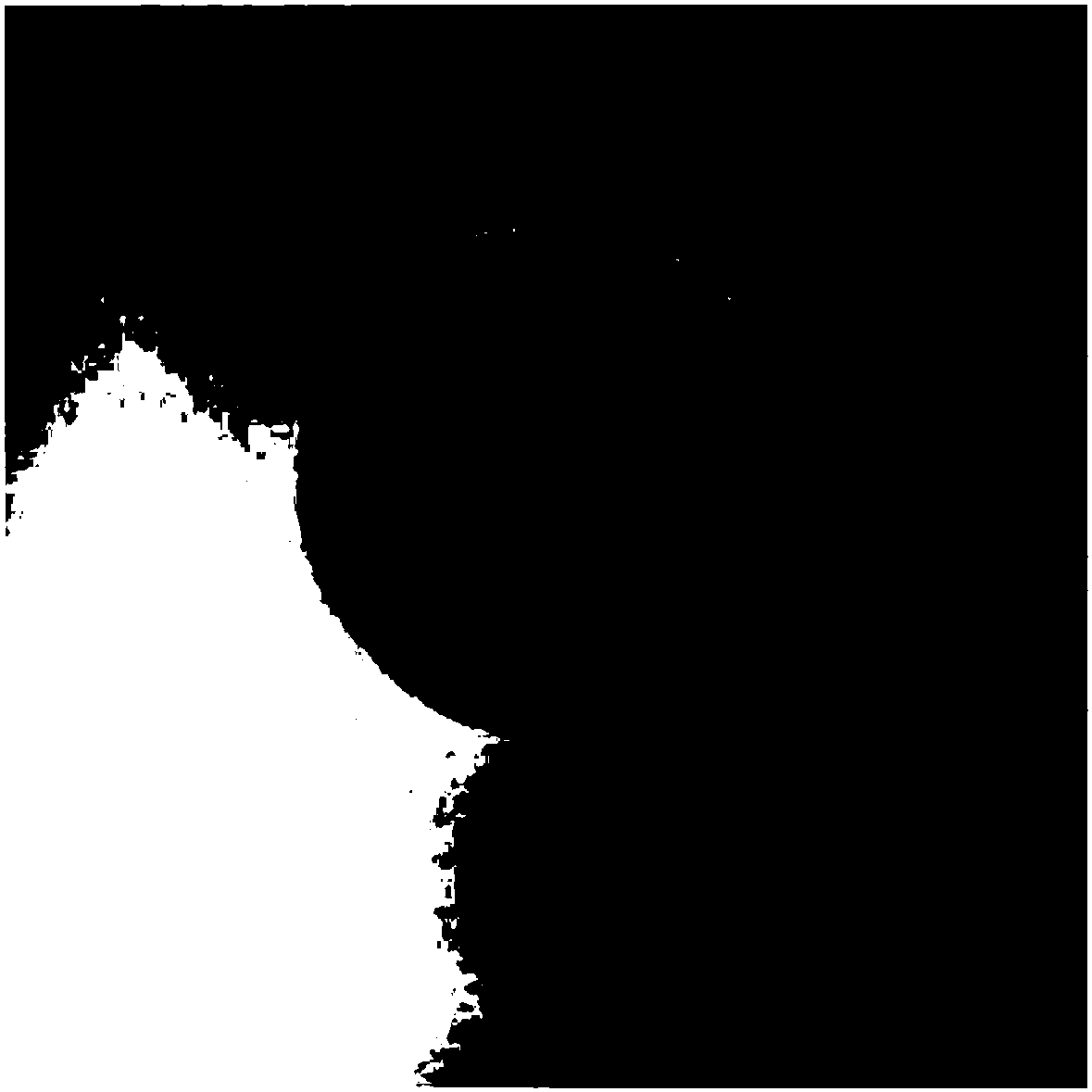 Medical chitosan-carboxymethyl chitosan crosslinked sponge and preparation method thereof