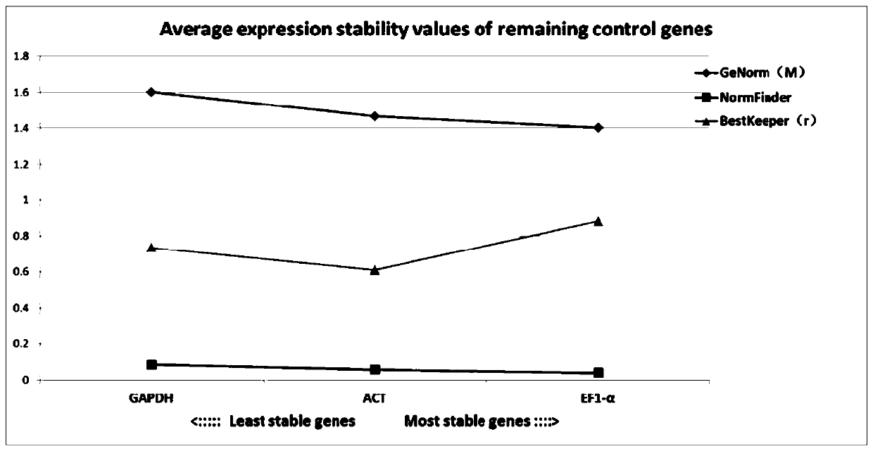 Three internal reference genes of acipenser dabryanus, primer development and stability evaluation technique