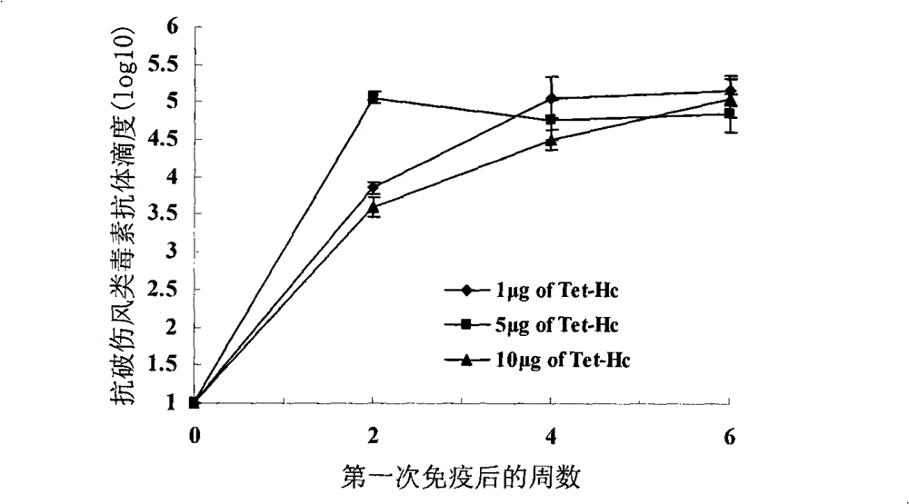 High-level expression of tetanus toxin receptor binding domain Hc in Escherichia coli and application