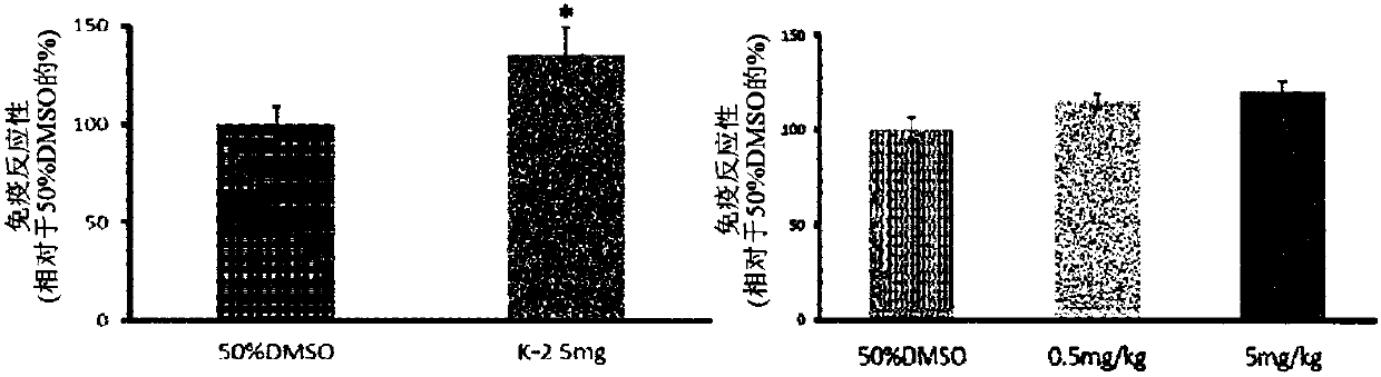 Novel compound that specifically binds to ampa receptor