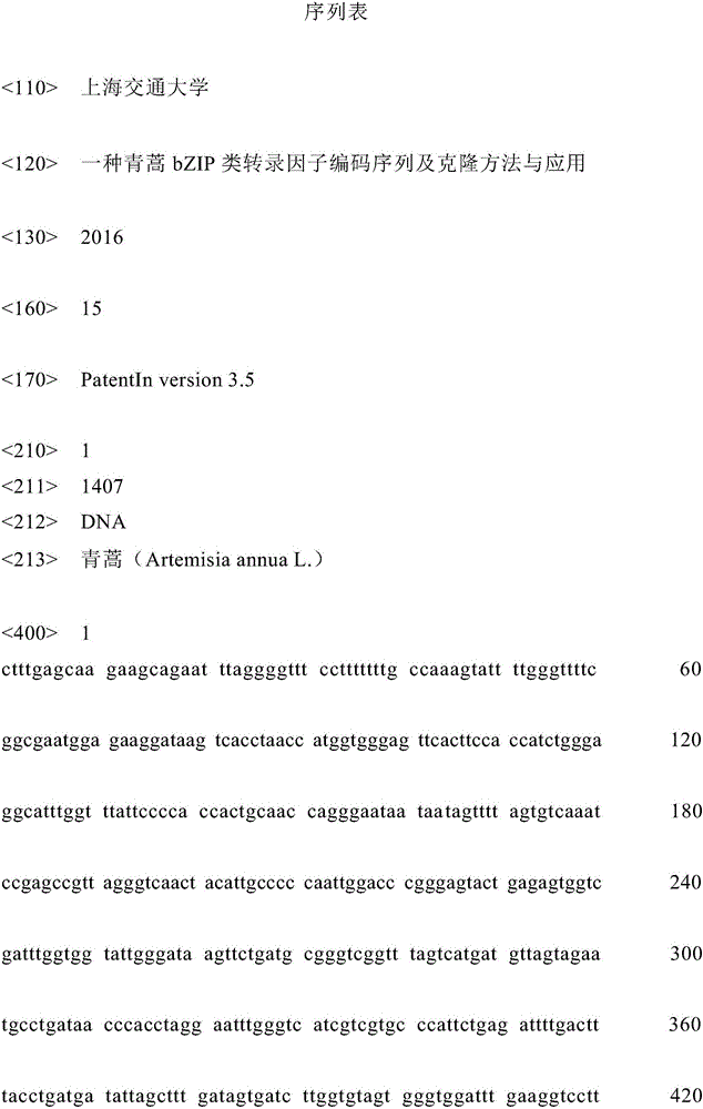 Artemisia apiacea bZIP-type transcription factor encoding sequence, cloning method and application