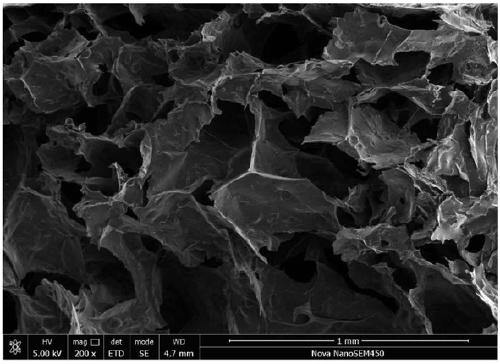 Preparation method of high-electromagnetic-shielding-effectiveness full-biomass-based carbon aerogel