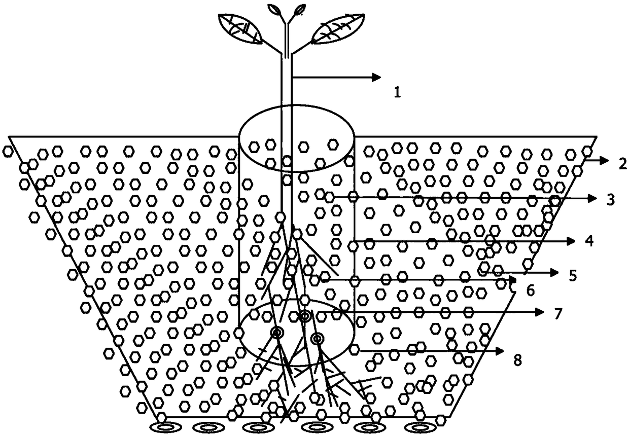 Organic vegetable planting and fresh keeping method