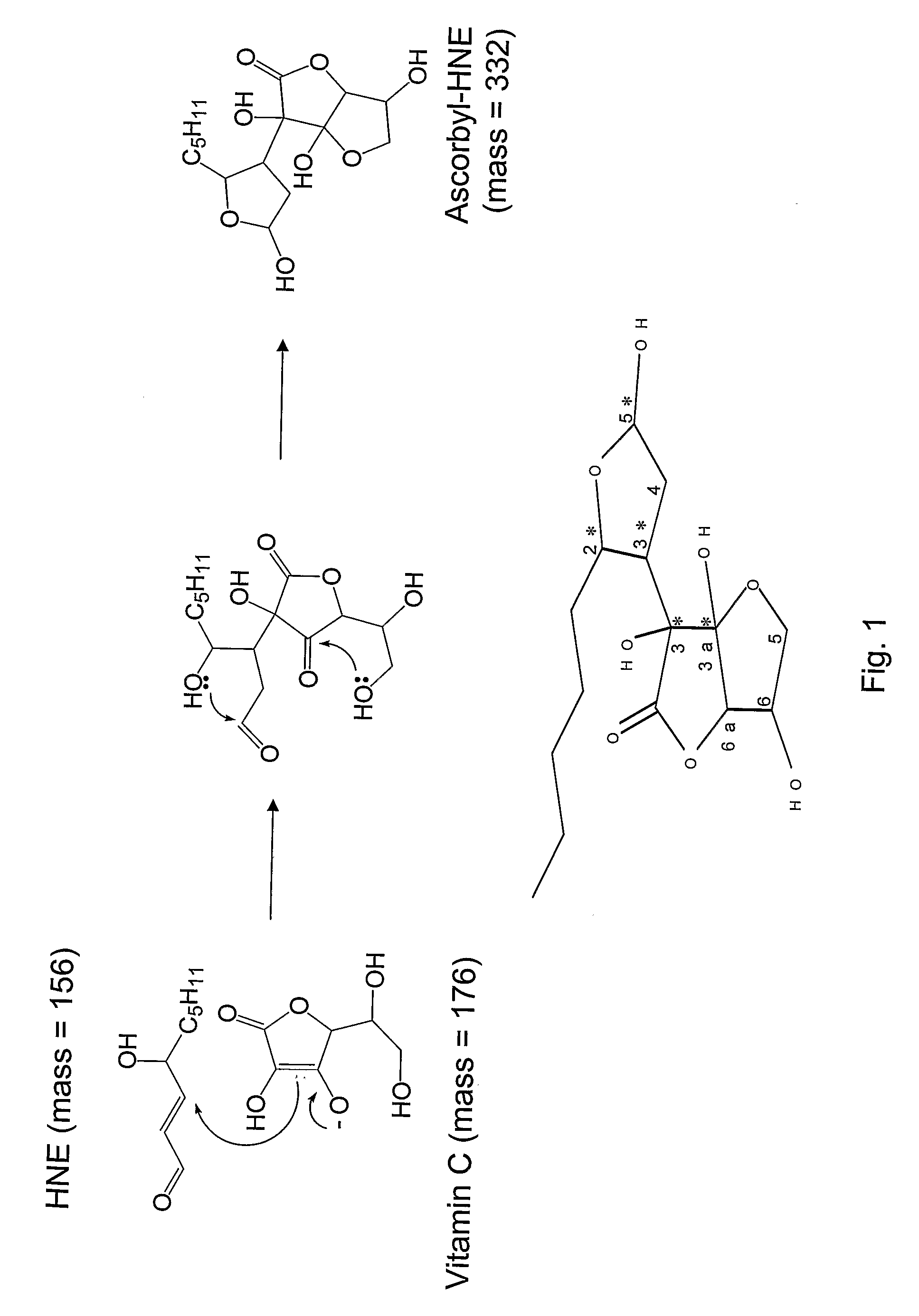 Ascorbic acid conjugates