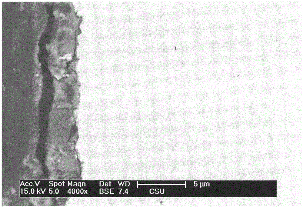 A kind of anti-tarnish golden anti-corrosion copper alloy and its plate preparation method