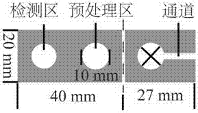 Method for detecting microRNA based on triple helix DNA structure