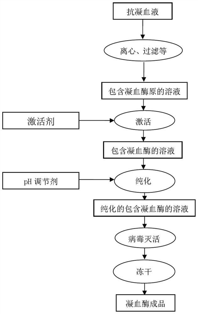 Preparation method of thrombin