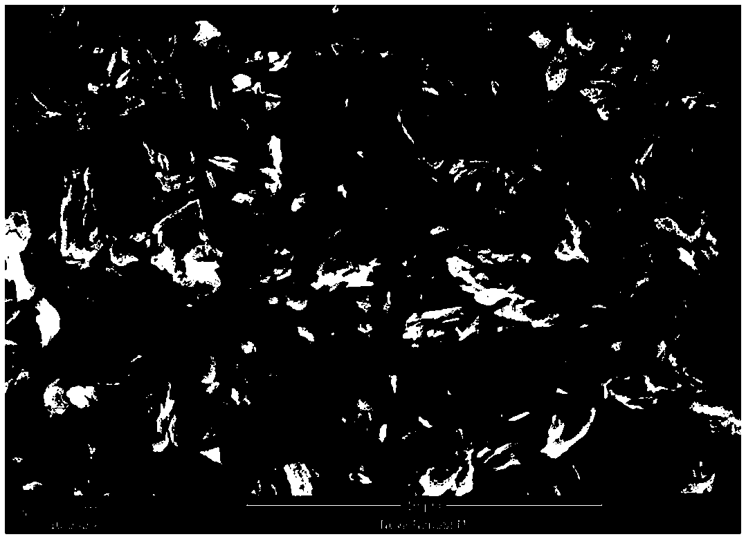 Dual-channel Z-configuration photocatalytic decomposition water composite material and preparation method thereof