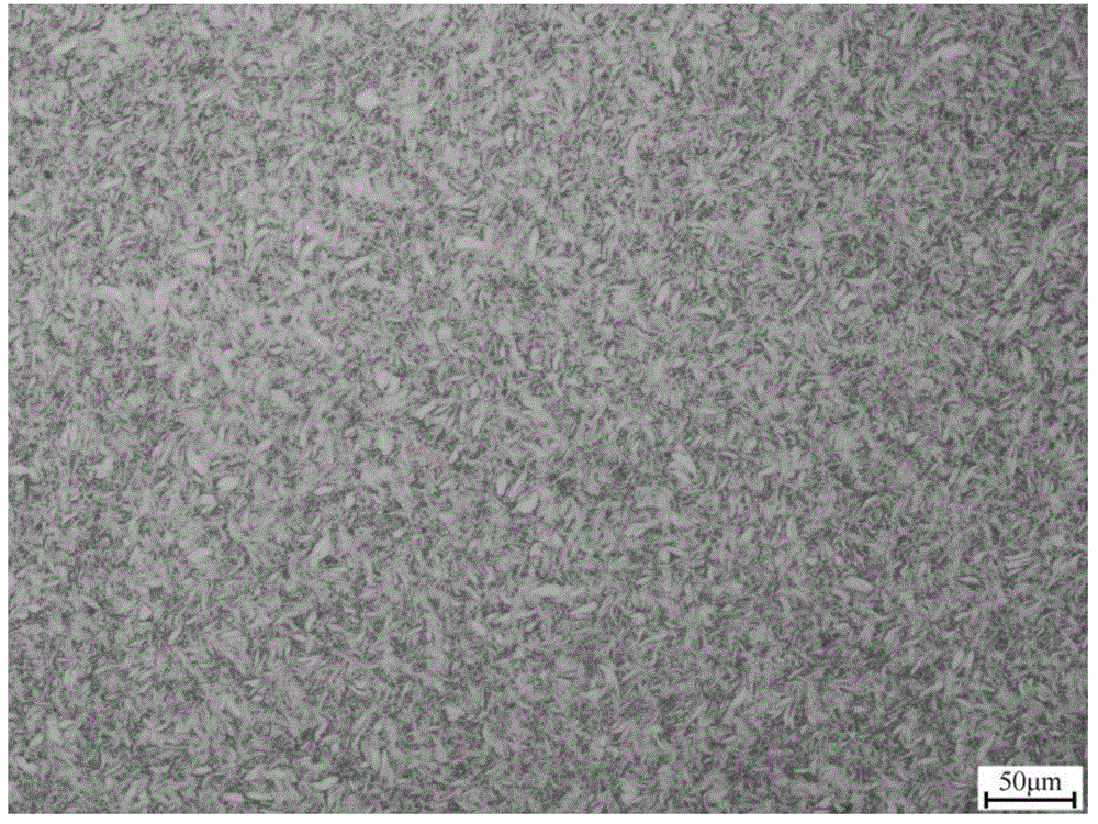 Processing method of human body implant titanium alloy arc-shaped plate