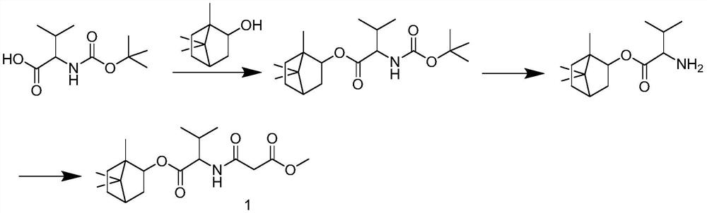 A class of derivatives of malonic acid monoester acylated amino acid (+) 2-alcohol esters and their applications