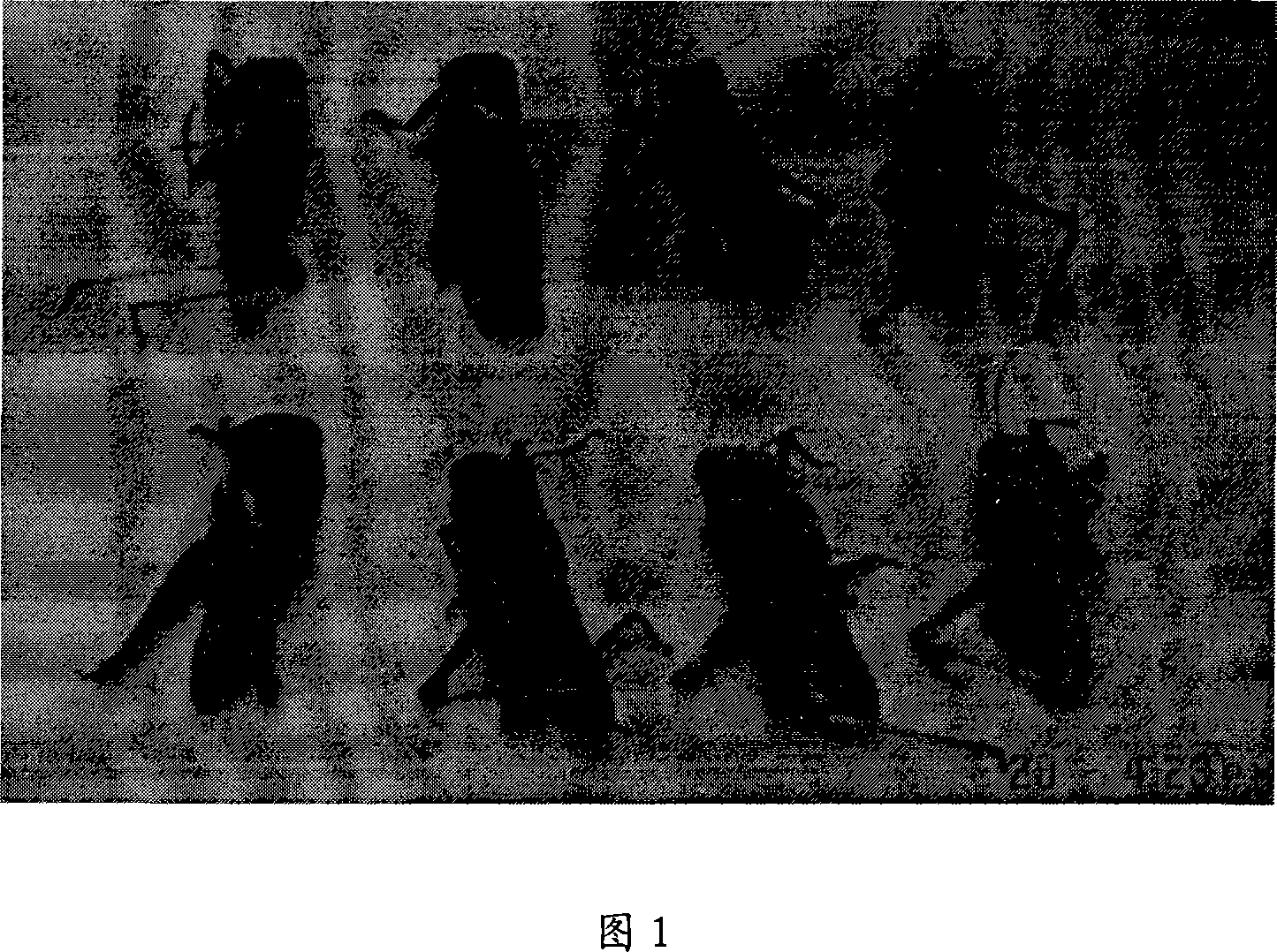 Bacillus thuringiensis insecticidal crystal protein gene and application