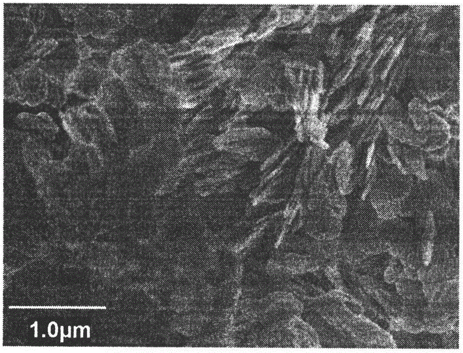 Method for preparing biomass carbon-based composite energy storage material by utilizing plant fiber