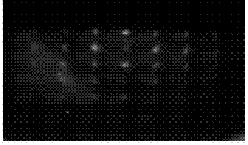 Highly-doped ZnO:Co magnetic semiconductor film material and preparation method thereof