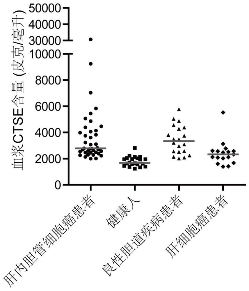 Application of MMP7, CTSE or LAMC2 proteins in preparation of intrahepatic cholangiocarcinoma diagnostic reagent