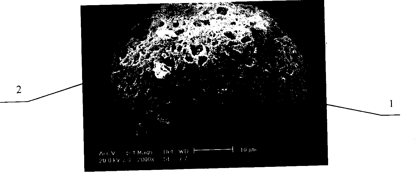 Method for preparing microspheric PGDT separating medium with two kinds of pore forms