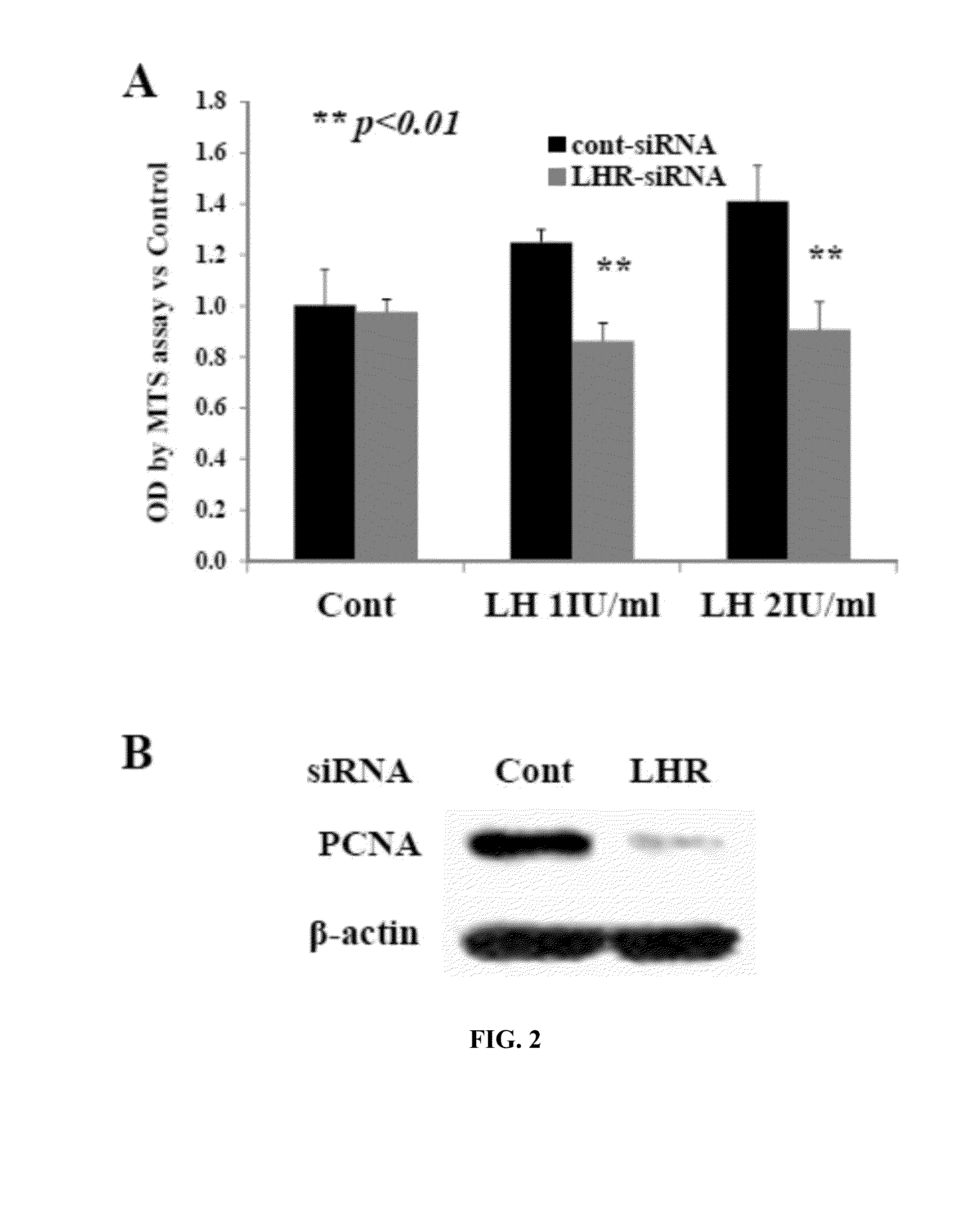 Compositions and methods for regulating cancer-related signaling pathways