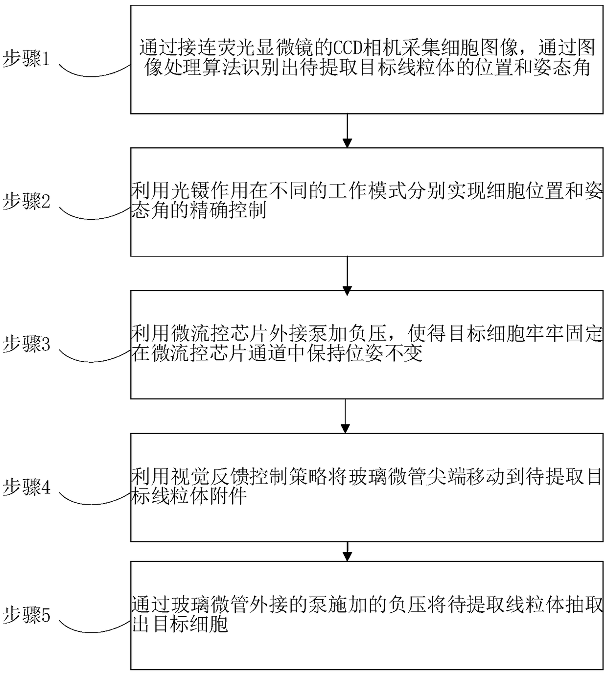 Method used for automatically extracting target cell mitochondrion