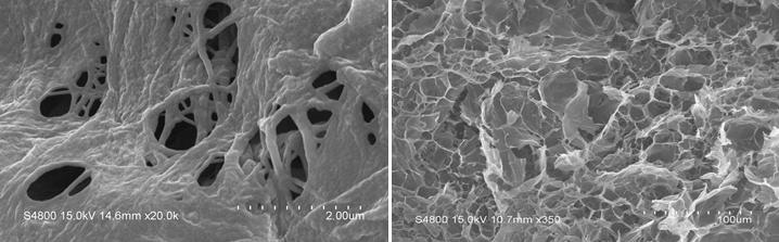 Preparation and application of light, heat-insulating and flame-retardant PIPD nanofiber aerogel