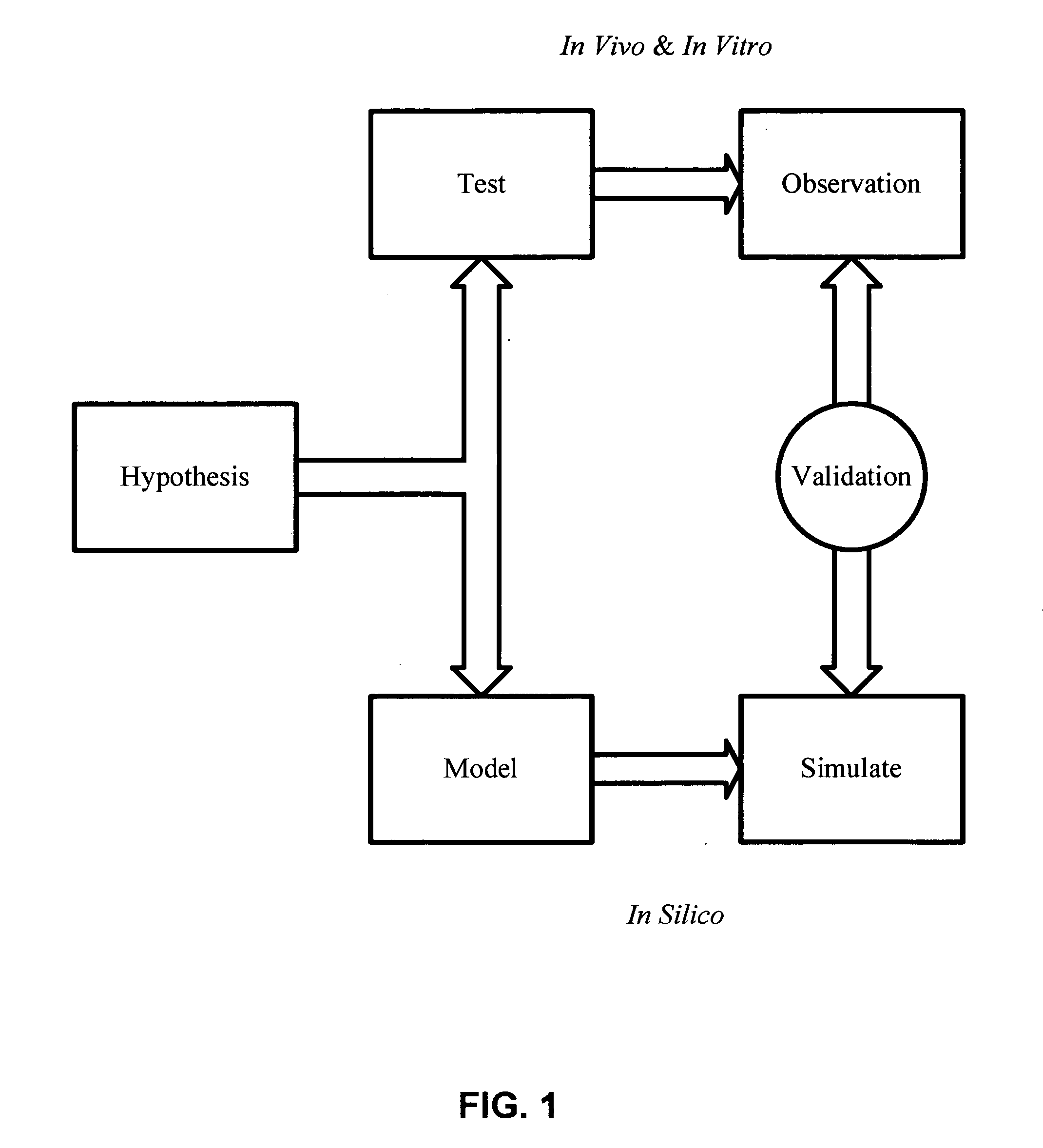 Computational modeling and simulating of host-pathogen interactions