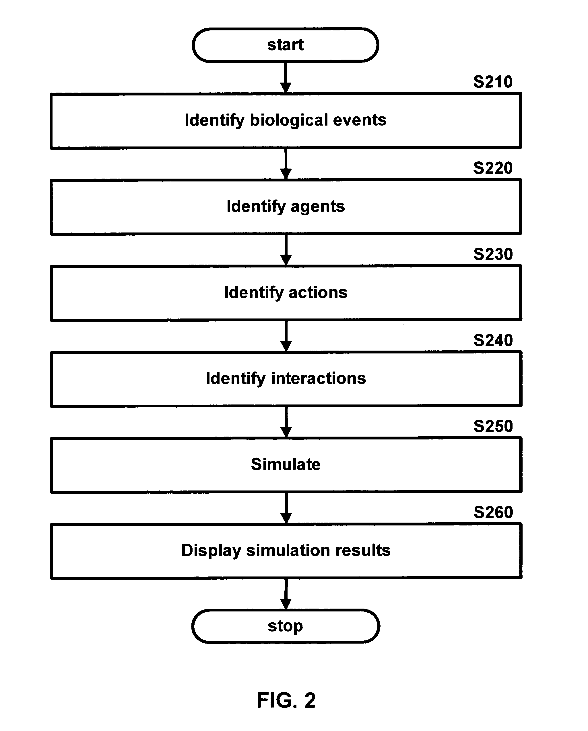 Computational modeling and simulating of host-pathogen interactions