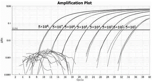 Fluorogenic quantitative PCR detection kit for melissococcus pluton and detection method thereof