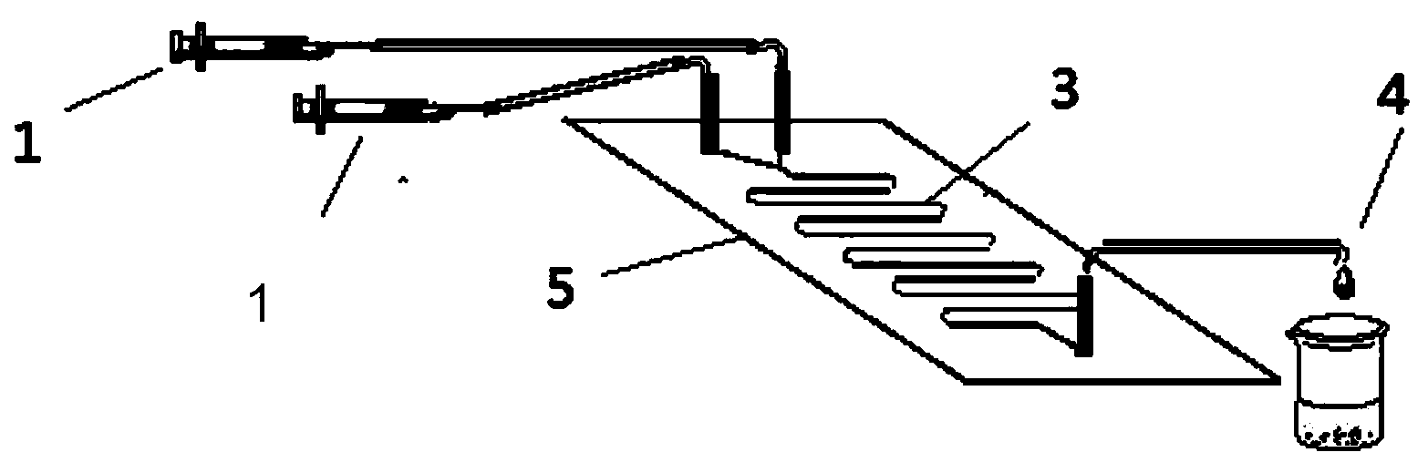 Method for synthesizing 6''-O-palmitoyl-neohesperidin ester on line by using lipase as catalyst