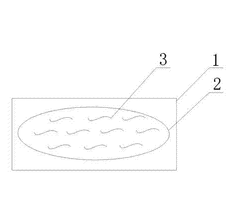 Drug pillow and preparation method thereof