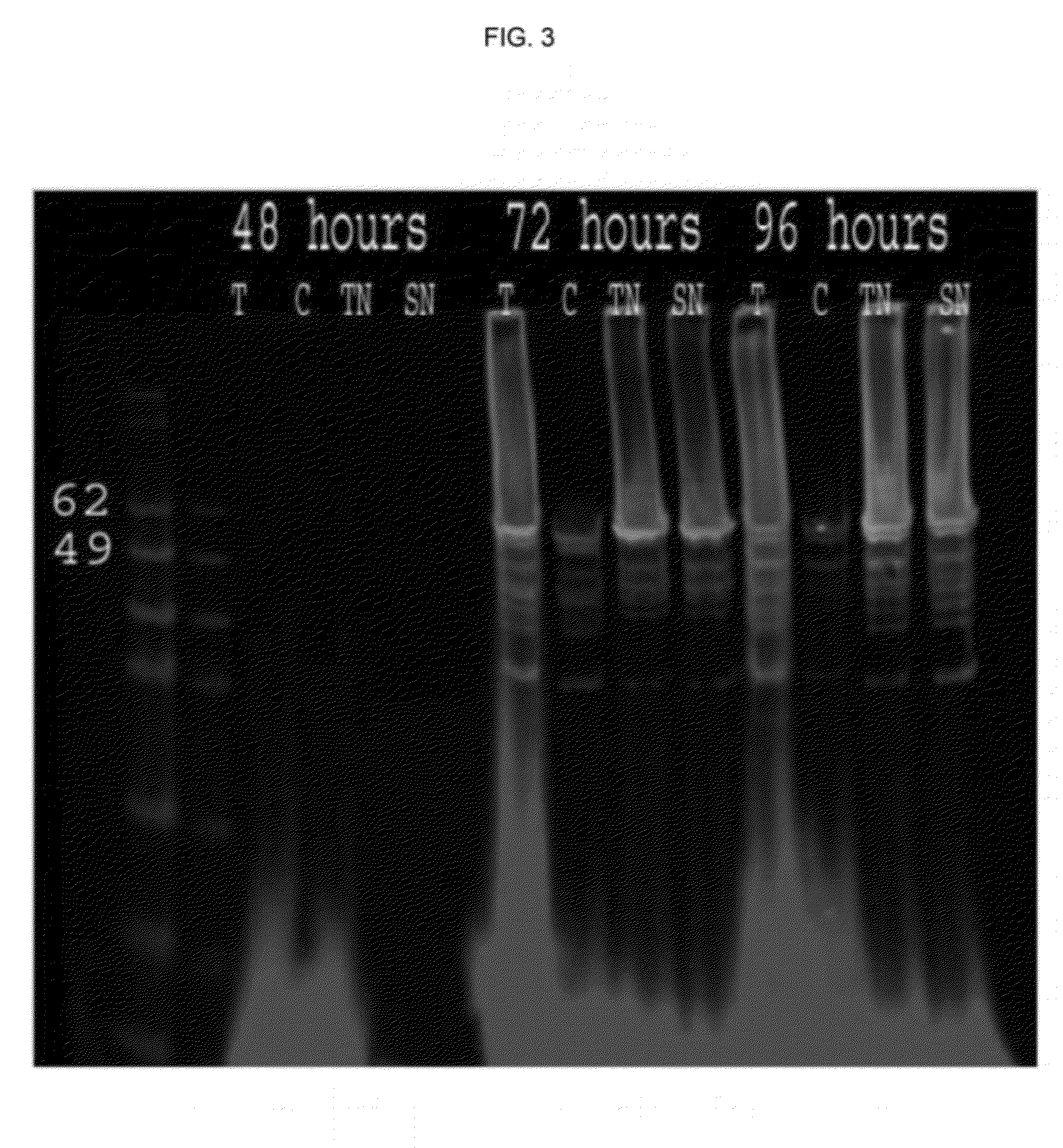 Virion Derived Protein Nanoparticles For Delivering Diagnostic Or Therapeutic Agents For The Treatment Of Non-Melanoma Skin Cancer