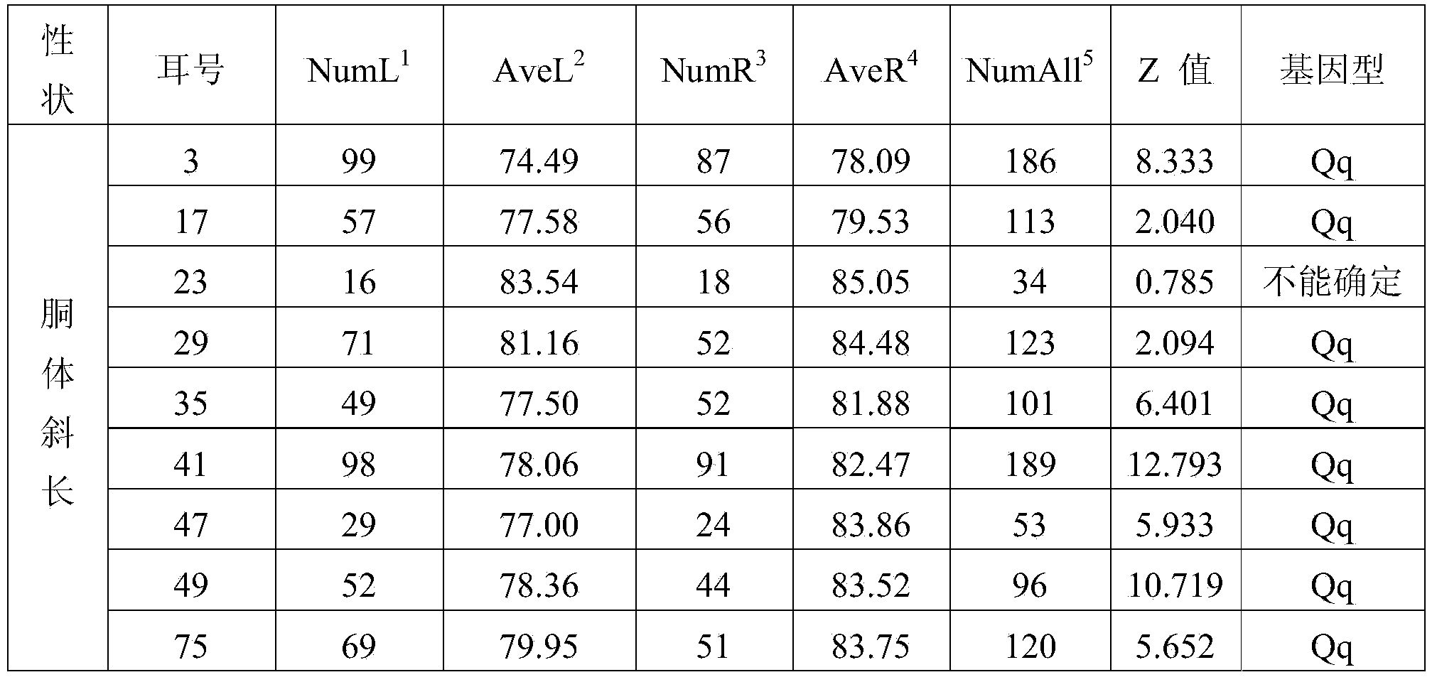 Major SNP (single nucleotide polymorphism) marker influencing growth traits of pigs and application thereof in genetic improvement of productivity of breeding pigs