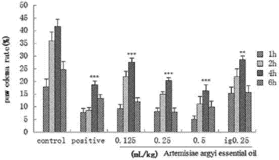 Artemisia argyi leaf oil transdermal patch, preparation method and detection method for active ingredients in the patch