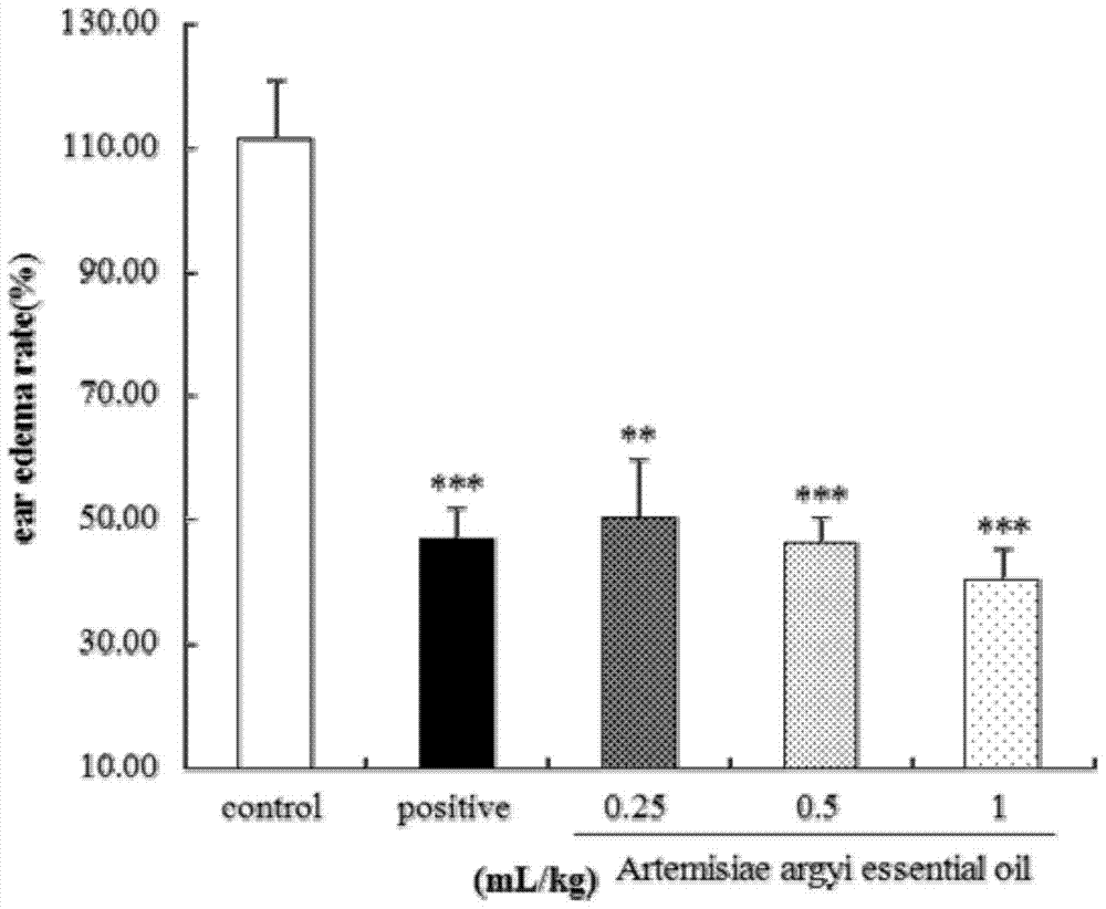 Artemisia argyi leaf oil transdermal patch, preparation method and detection method for active ingredients in the patch