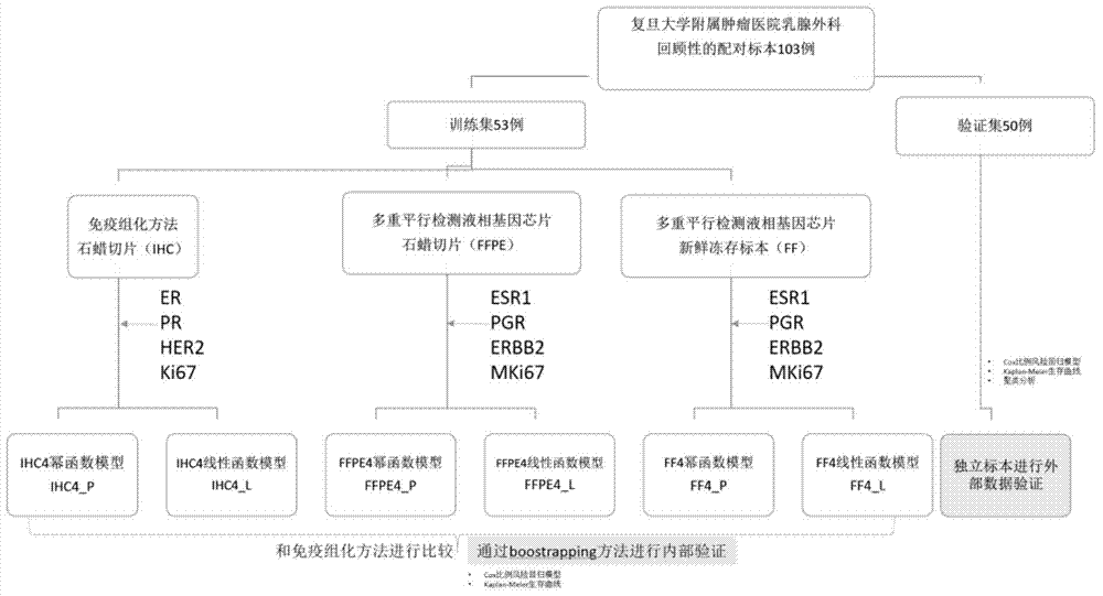 A group of genes used for prognosis of hormone receptor-positive breast cancer and applications thereof