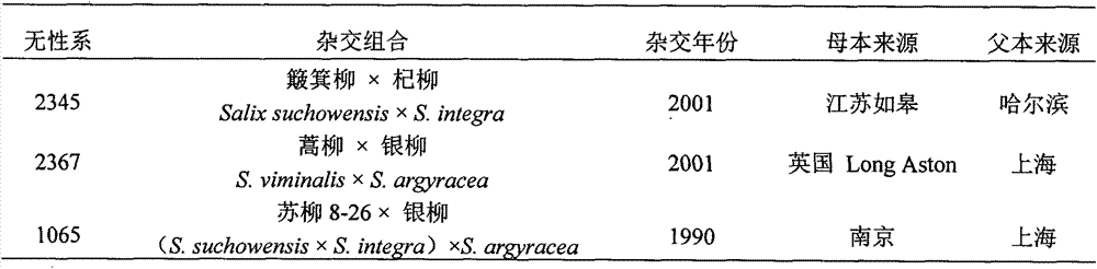 Salix saposhnikovii tissue culture method