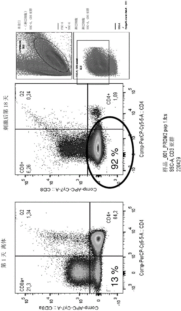 Expansion of lymphocytes with a cytokine composition for active cellular immunotherapy