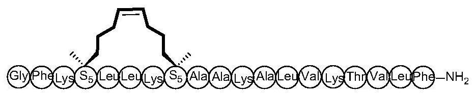 Cyclopeptide antitumor active compound and preparation method and application thereof