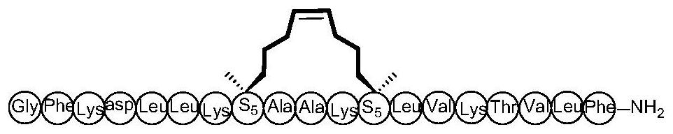 Cyclopeptide antitumor active compound and preparation method and application thereof