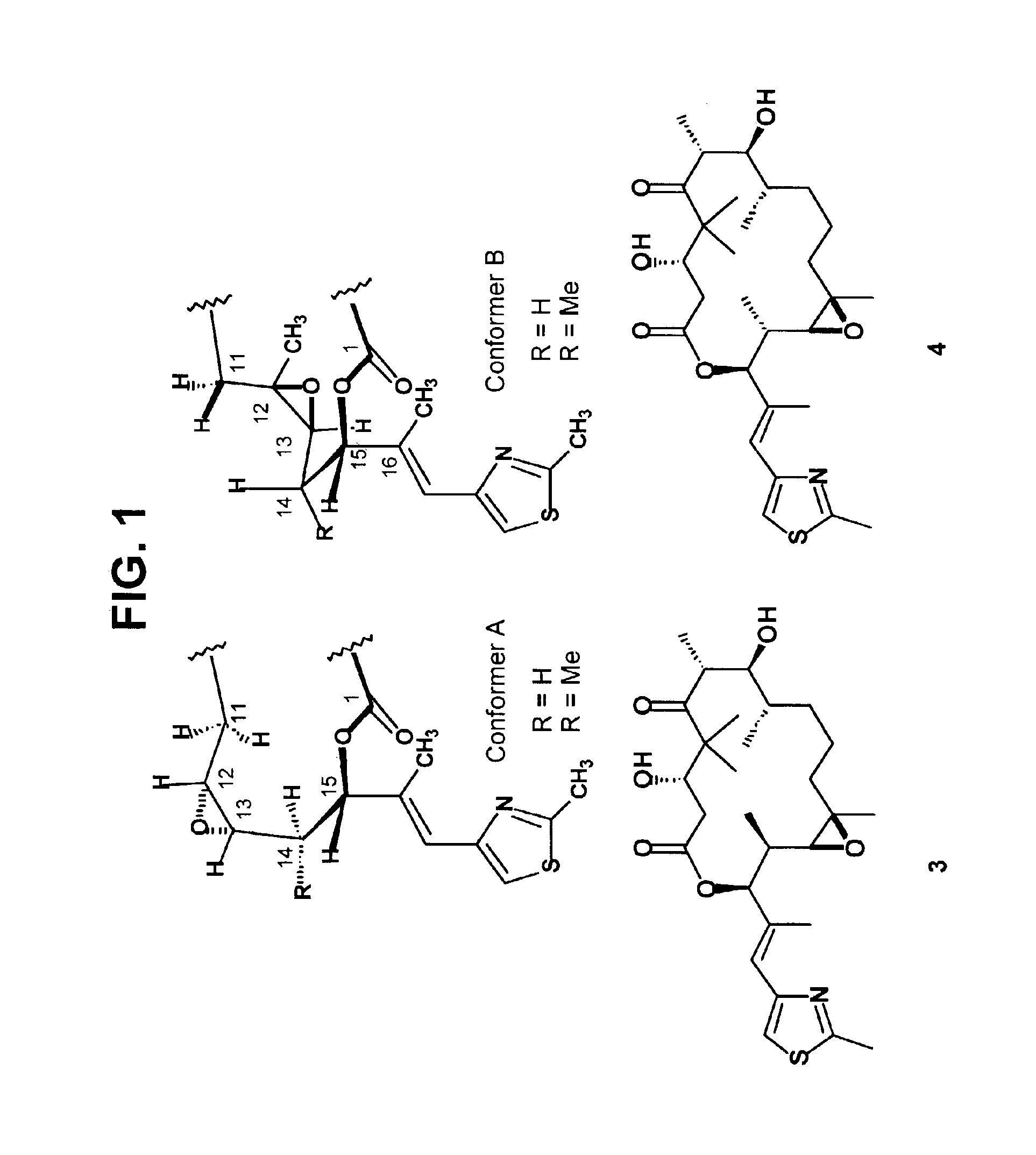 Derivatives of epothilone B and D and synthesis thereof