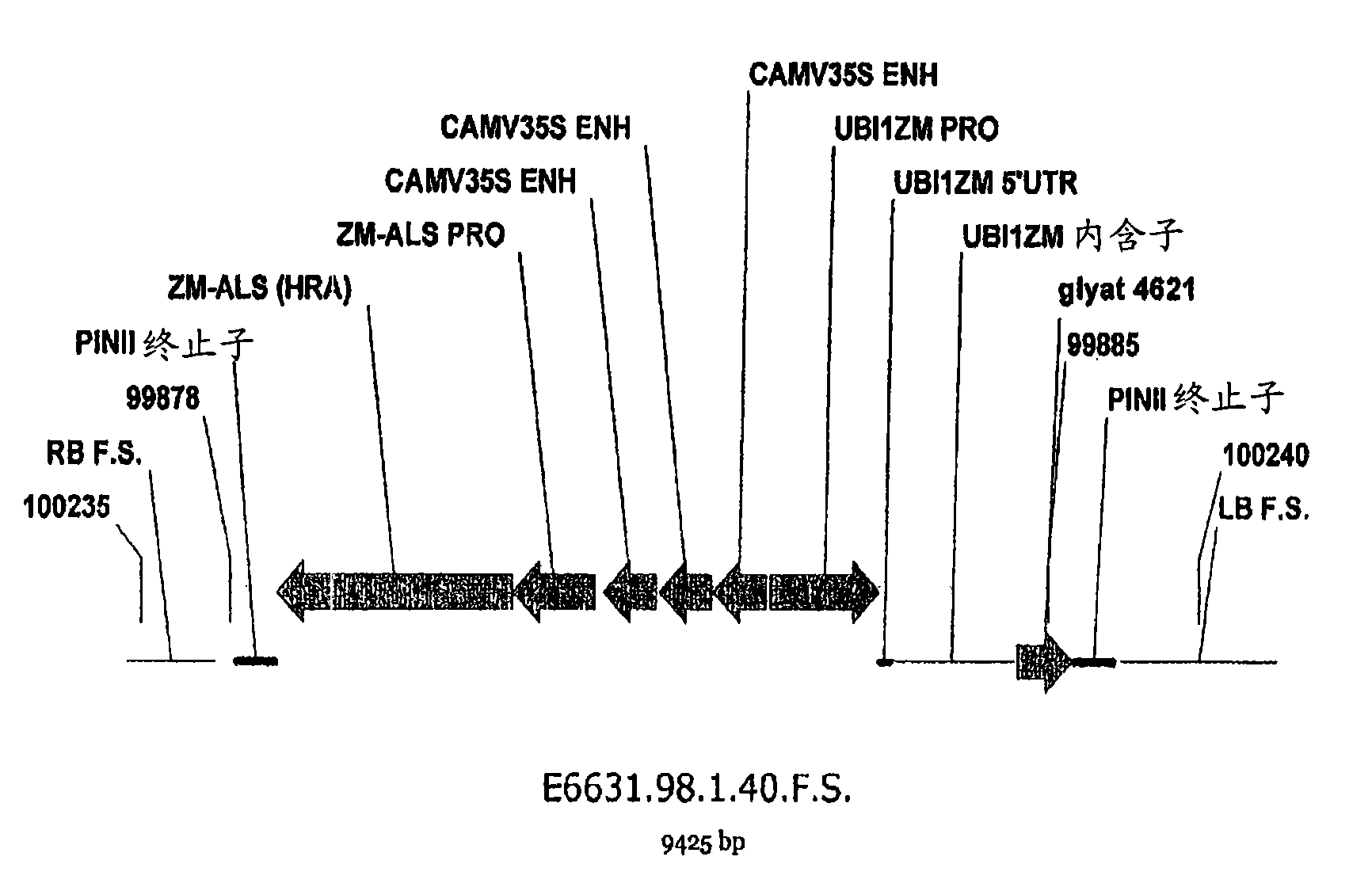 Maize event dp-098140-6 and compositions and methods for the identification and/or detection thereof