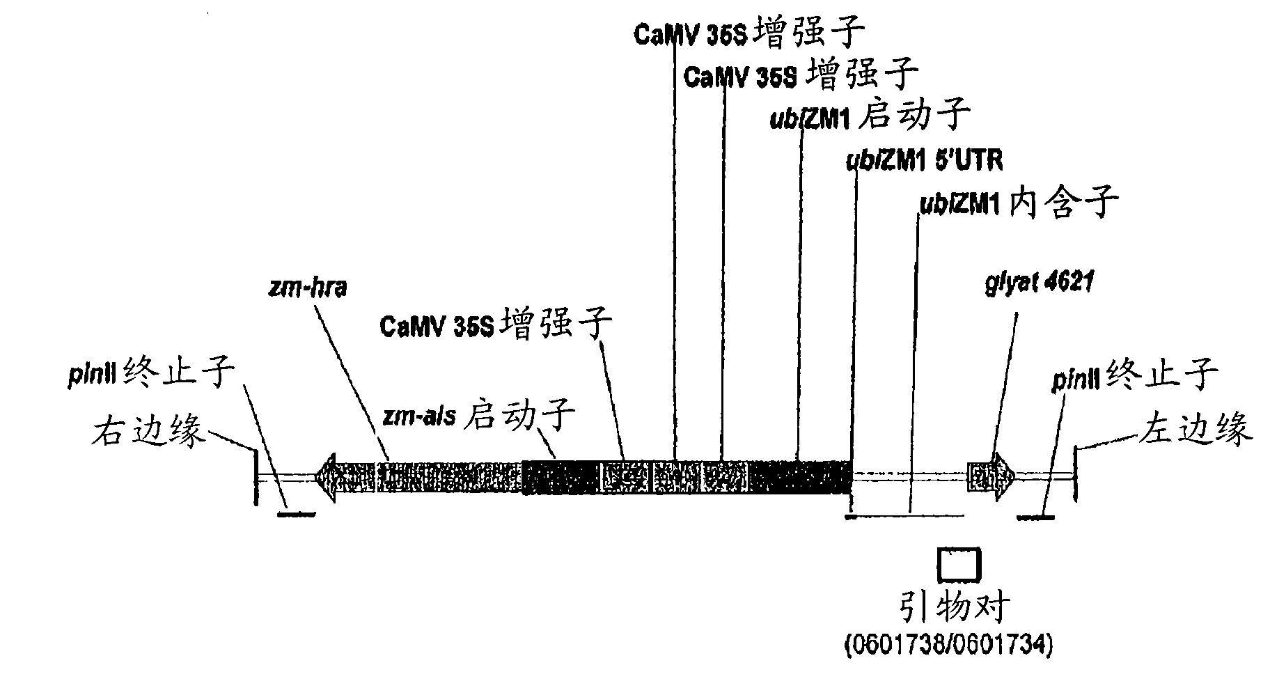 Maize event dp-098140-6 and compositions and methods for the identification and/or detection thereof