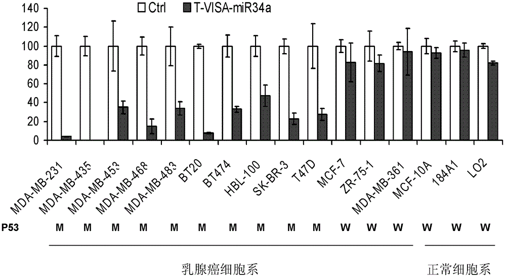 Drug liposome capable of efficient and highly specific killing of P53 gene mutation type of breast cancer cells