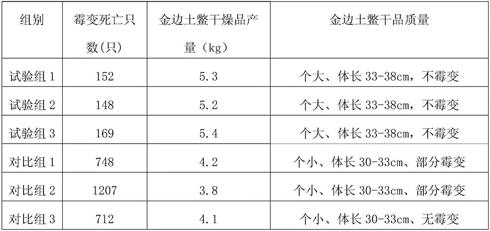 Disease-prevention oriental cockroach medicament and preparation method thereof